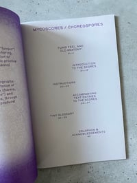 Image 6 of Mycoscores / Choreospores by MAIJA HIRVANEN