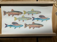Fishy Canvas