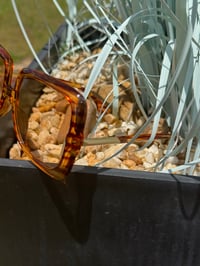 Image 2 of Champagne Striped Sunglasses w/Light Tint