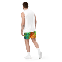 Image 4 of 'Sol Vecta 8' Cosmix Unisex mesh shorts