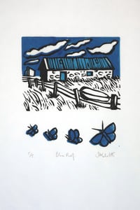 Image 2 of Blue Roof