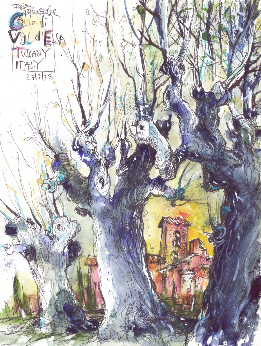 Image of Tuscany Trees 