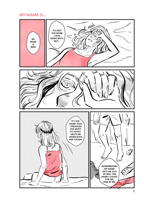 Image of [PRE-ORDER] Ava and Bird Graphic Novel (Full Story)