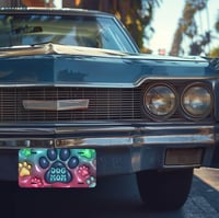 Image 1 of  Car License Plates Collection(NOT FOR OFFICIAL USE)