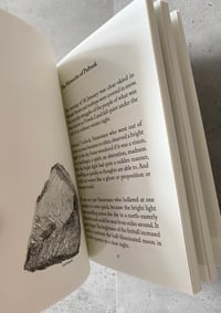 Image 2 of Notes from a Polish Allotment by ALEX ROSSITER