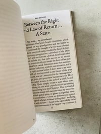 Image 3 of Solution 196–213 United States of Palestine-Israel