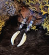 Coyote tooth and vertebrae 