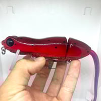 Image 1 of Silly Sally (Mud Salamander)