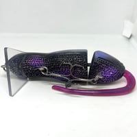 Image 3 of Silly Sally (Galaxy)