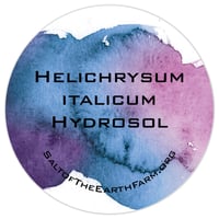 Image 2 of Helichrysum italicum Hydrosol 