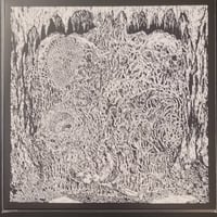Image 1 of   Perilaxe Occlusion / Fumes / Celestial Sanctuary / Thorn - Absolute Convergence - LP