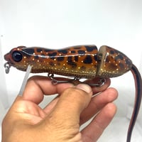 Image 1 of Silly Sally (Pacific Giant Salamander)