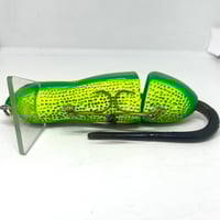 Image 3 of Silly Sally (Citrus)