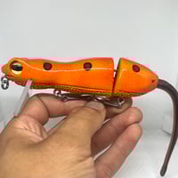 Image 1 of Silly Sally (Red Eft)