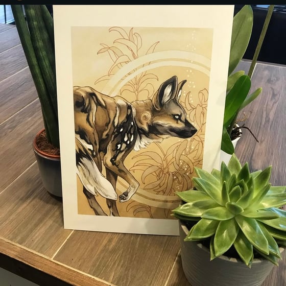 Image of African wild dog A4