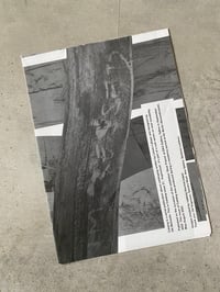 Image 1 of Catalog #21 - Impressed