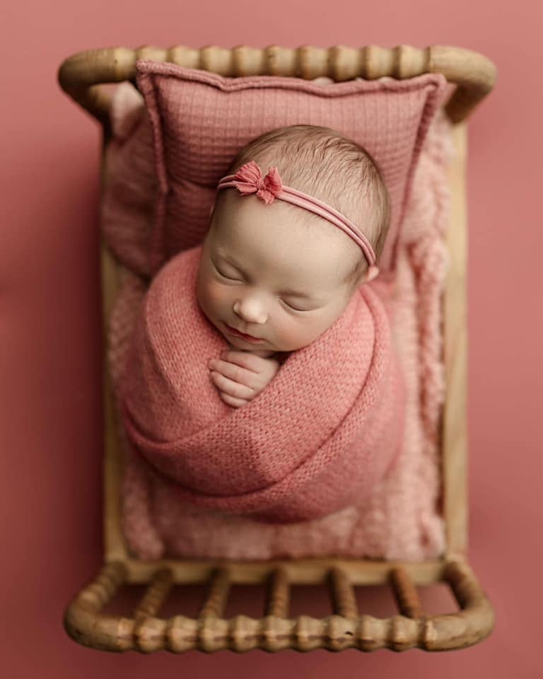Image of ANTIQUE ROSE COLLECTION | PREORDER