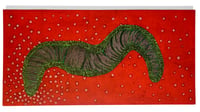 Image 1 of Leech