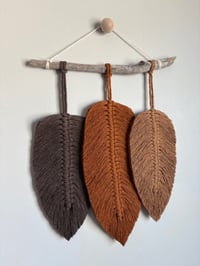 Brown tones feather hanging