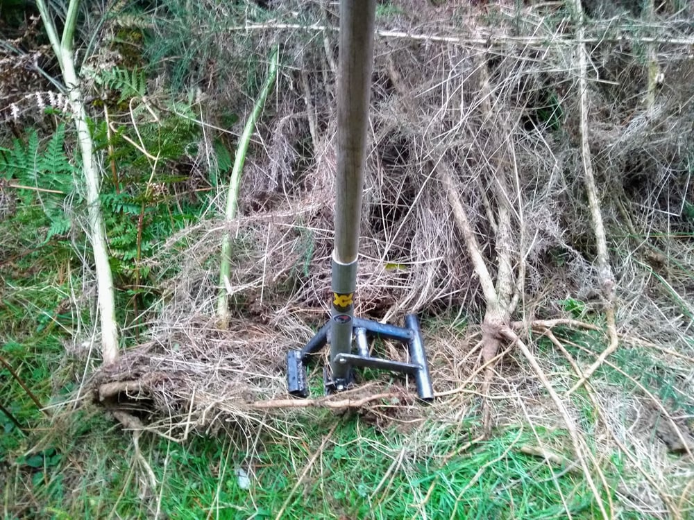 Tree remover- Weapon of Mass Conservation