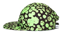 Image 2 of Toad 