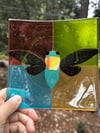 Cicada Plate