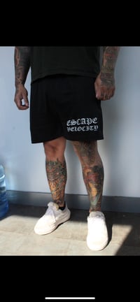 EV Basketball shorts