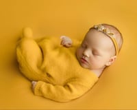 GOLDEN POPPY COLLECTION | PREORDER
