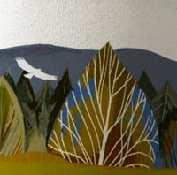 Image 4 of Pine Forest And Buzzard
