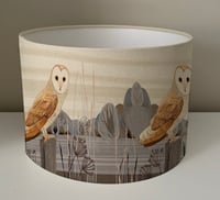 Image 2 of Barn Owl