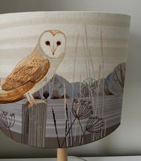 Image 3 of Barn Owl