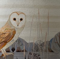 Image 4 of Barn Owl