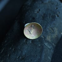 Image 4 of Mermaid Rock Pools Silver and Brass Ring