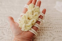 Image 1 of Banana Cream Bow Tieback 
