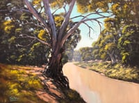 The Darling At Wilcannia 