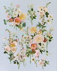 Image 1 of SWEET JUNE - GICLÉE PRINT