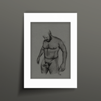 Image 1 of Hardy