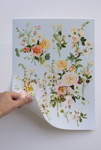 Image 3 of SWEET JUNE - GICLÉE PRINT