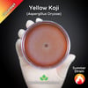 Yellow Koji Mold (Aspergillus Oryzae) Live Mycelium Mushroom Culture Spawn Seed