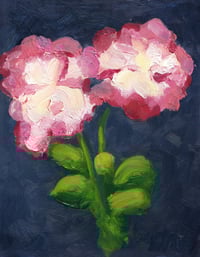 Pink and White Flowers over Blue