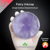 Fairy Inkcap (Coprinellus Disseminatus) Live Mycelium Mushroom Culture Spawn