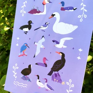🎨  Print A5 - Oiseaux du lac