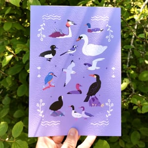 🎨  Print A5 - Oiseaux du lac