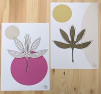 Image 1 of Koyo No 3 and Koyo No 4