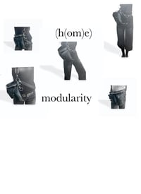 Image 1 of modularity
