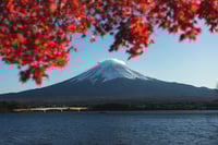 Image 2 of KOYO ET MONT FUJI