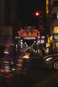 Image 2 of DOTONBORI