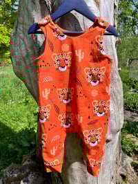 Big Cat 3-6 month Romper