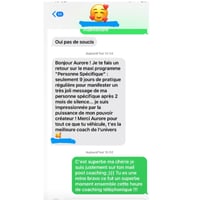Image 11 of PROGRAMME ET ROUTINE QUOTIDIENNE: MANIFESTATION D’UNE PERSONNE SPÉCIFIQUE SI TU ES UNE FEMME