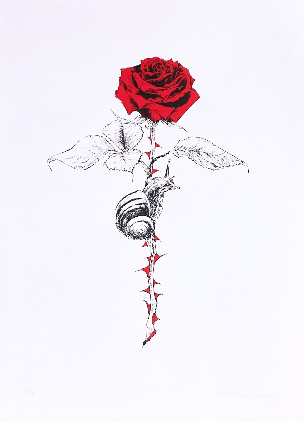 Deep Below Silk-screen print by Viktor Hachmang
